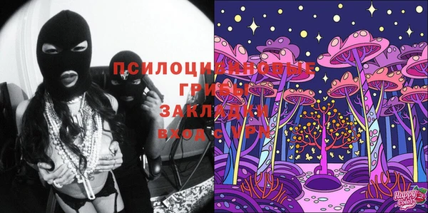 прущие крисы Пересвет
