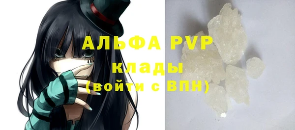 прущие крисы Пересвет