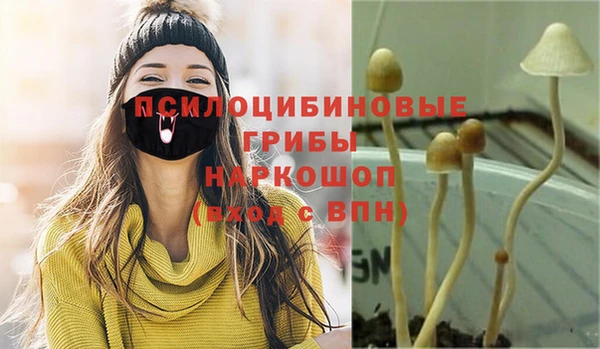 2c-b Алексеевка