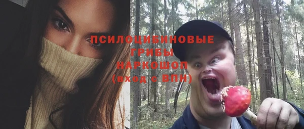 круглые Алзамай