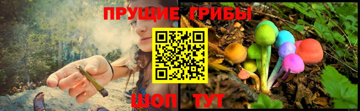 Кропоткин  Галлюциногенные грибы MAGIC MUSHROOMS  Вход с VPN  Галлюциногенные грибы Psilocybine cubensis 