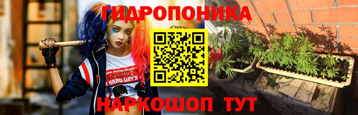 Конопля ГИДРОПОН Кропоткин